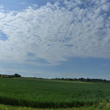 Maison De Plain-pied Confortable Avec Jardin A - Fr-1-489-381 بيت للعطل