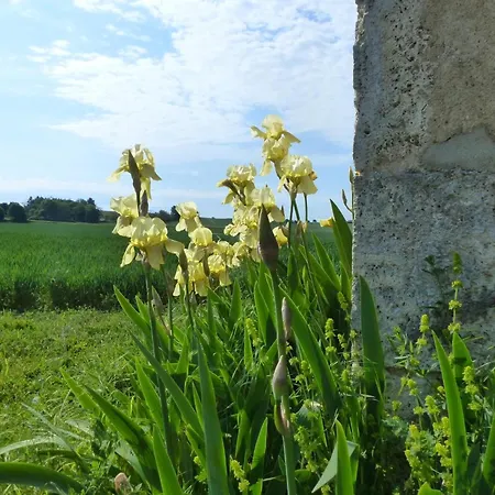 Maison De Plain-pied Confortable Avec Jardin A - Fr-1-489-381 بيت للعطل Rongeres