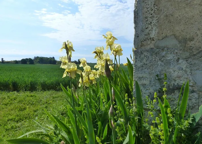 Maison De Plain-pied Confortable Avec Jardin A - Fr-1-489-381 Holiday home Rongeres